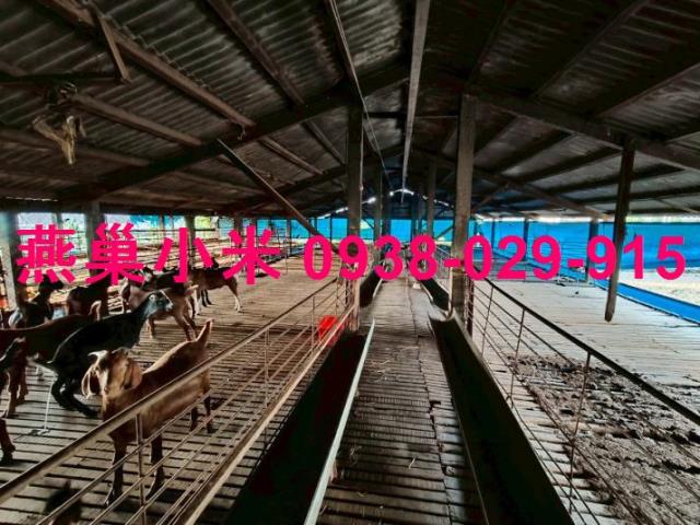 阿蓮畜牧場-0