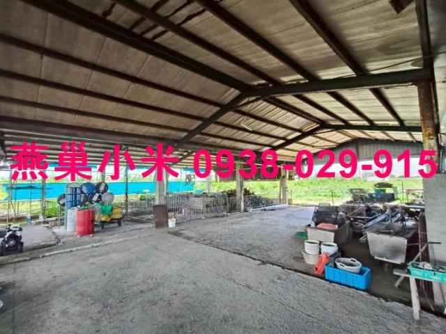 阿蓮畜牧場-0