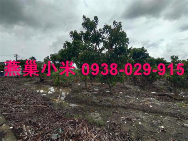 高雄阿蓮住宅地-0