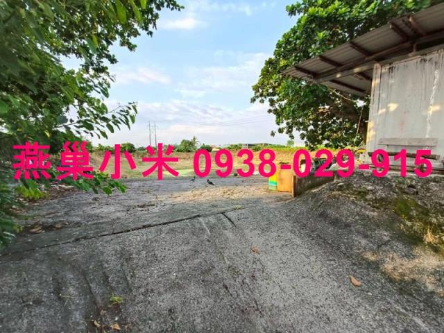 阿蓮農地-0